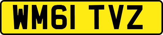WM61TVZ