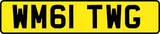 WM61TWG