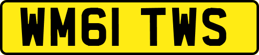 WM61TWS