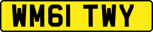 WM61TWY