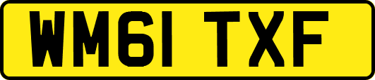 WM61TXF