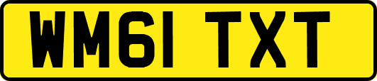 WM61TXT