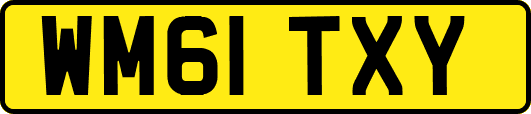 WM61TXY
