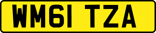 WM61TZA