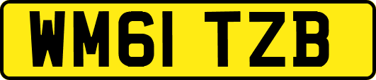 WM61TZB
