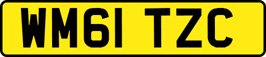 WM61TZC