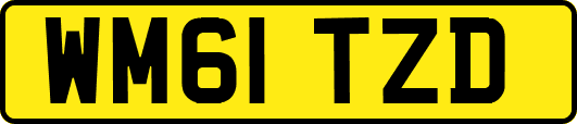 WM61TZD