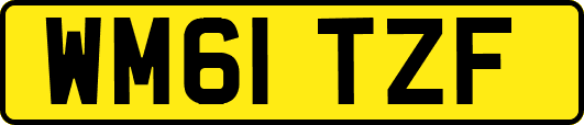 WM61TZF