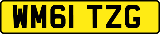 WM61TZG