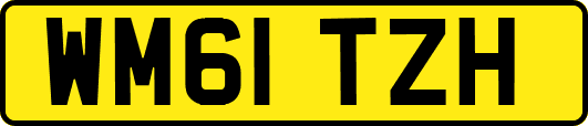 WM61TZH