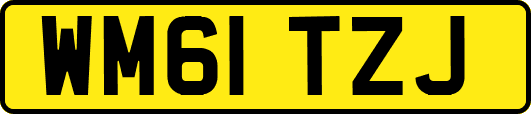 WM61TZJ