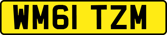 WM61TZM
