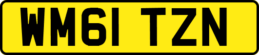 WM61TZN