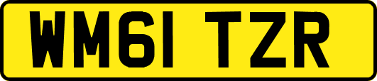WM61TZR