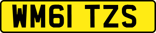 WM61TZS