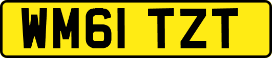 WM61TZT