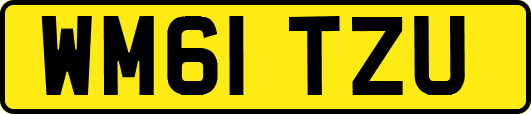 WM61TZU