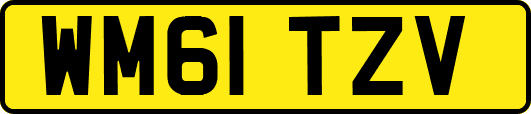 WM61TZV