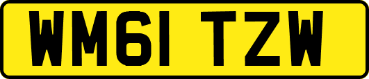 WM61TZW
