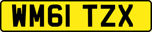WM61TZX