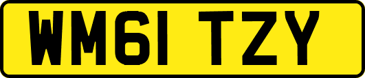 WM61TZY