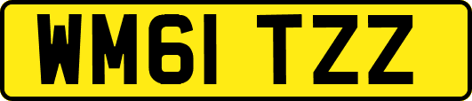 WM61TZZ