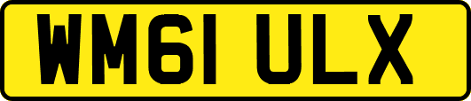 WM61ULX
