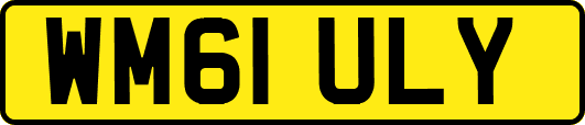 WM61ULY