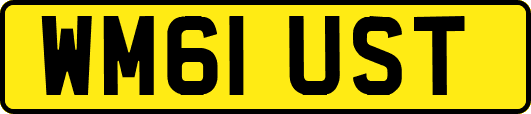 WM61UST