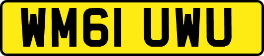 WM61UWU