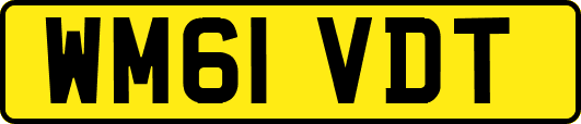 WM61VDT