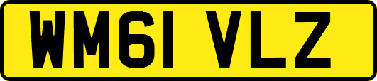 WM61VLZ