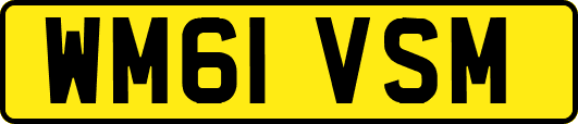 WM61VSM
