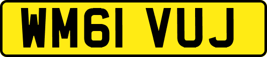 WM61VUJ