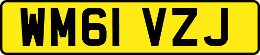 WM61VZJ