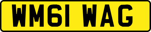 WM61WAG