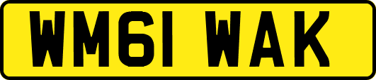 WM61WAK