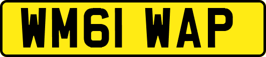 WM61WAP