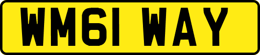 WM61WAY