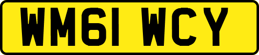 WM61WCY