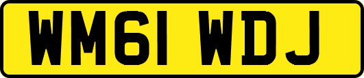 WM61WDJ