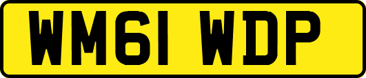 WM61WDP