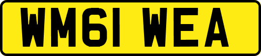 WM61WEA