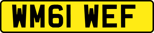 WM61WEF