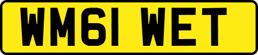WM61WET