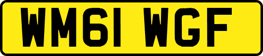 WM61WGF