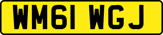 WM61WGJ