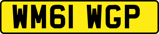 WM61WGP