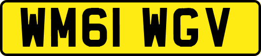 WM61WGV