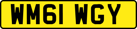 WM61WGY
